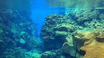 Private Snorkeling Tour Between Tectonic Plates from Reykjavik