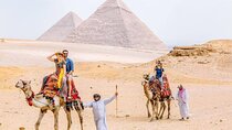 Full-Day Tour By Bus to Cairo with Lunch From Sharm El Sheikh