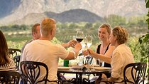 Mendoza VIP Wine Tasting Experience (Uco Valley)