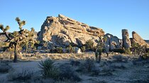 2-days Private Tour to Joshua Tree National Park from Los Angeles