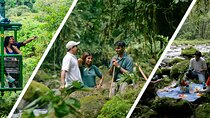 Hike at Rainforest Adventures Costa Rica Braulio Carrillo