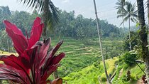 One Day Exploring Ubud
