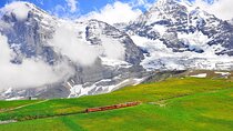 Alpine Majesty Tour From Zurich to Jungfraujoch