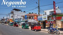 Private City Tour in Negombo