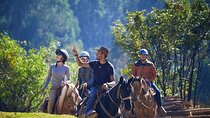 Horseback Riding Adventure: Private Horseback Excursion in Cusco
