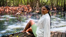 Eco Plan National Aviary and Lunch in Playa Mambo Beach Barú