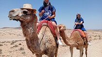 Magical Sunset Camel Ride with Moroccan Dinner in Agafay Desert