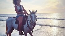 1-hour horseback ride on the beaches of Manzanillo del Mar