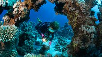 3 Fun Dives in Phi Phi islands for Certified Divers