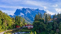 Private Desa Dairy Farm, Kinabalu National Park, Hot Spring & Canopy Walk Tour