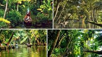 Alasr Lakeview Cruise /Hourly Trips to Backwater of Alleppey