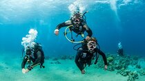Advanced Diving Course in the Gorgeous Red Sea – Sharm El Sheikh