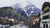 Full Day Private Luxury SUV Tour in Banff