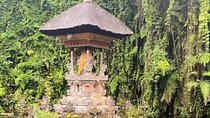 Ubud Tour - Ubud Highlight Culture, Tradition, Nature 