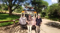 Tarangire National Park from Arusha Town Shared Day Tour