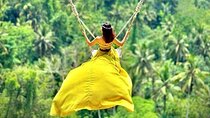 Ubud Tour with Swing, Temple, Monkey Forest, and Waterfall