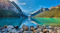 Private Banff Day Tour Lake Louise, Moraine, Peyto & More Sights!