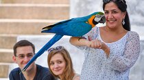 Kuala Lumpur Bird Park & Countryside Escape Tour
