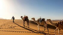 Two Day Tour with Overnight Desert Camp Experience from Agadir