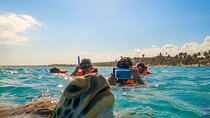 Experience swimming with turtles and explore the ruins of Tulum. Lunch included.