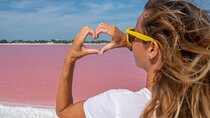 Tour to Las Coloradas Pink Waters and Boat Ride in Rio Lagartos with Lunch.
