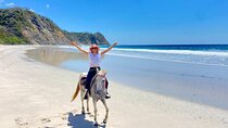 Horseback ride, picnic and swimming at Barigona beach