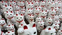 Tokyo: An Unique temple Walking Tour for cat lovers