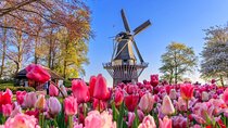 Keukenhof and Zaanse Schans Windmills Day Trip from Amsterdam