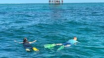 3 Hour Private Snorkeling in Marathon Florida