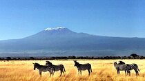 5 Days Private Wildlife Safari ,Amboseli, Tsavo East, Tsavo West
