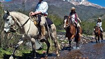 Horseback Riding with traditional Asado and Wine from Mendoza