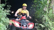 Bali ATV Ride Adventure and Kintamani Mt. Batur Volcano View