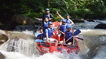 Bali Ayung River Rafting and Tanah Lot Temple Sunset Private Tour