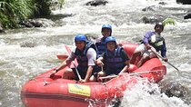Bali Ayung River Rafting and Ubud Village Private Tour