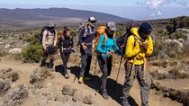 7 Day Rongai Route Kilimanjaro Climb
