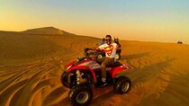 Sharm El Sheikh Adventure: Quad Biking, Camel Ride & Dinner Show