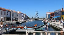 Private day trip: from Porto to Aveiro, Vila Nova de Gaia & back