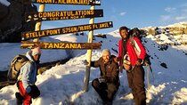 8-Day Shira Route Kilimanjaro Climb Tour