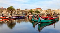 Private day trip from Porto to Aveiro, Coimbra and back