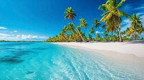 Explore Catalina Island & Snorkeling Adventure from Punta Cana