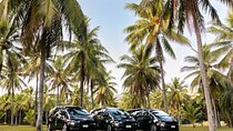 Port Douglas to Palm Cove ONE WAY Private Transfer 6 Pax