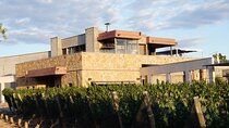 Mendoza Wine Tour with Lunch
