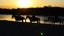 2-Hour Horseback Riding Tour at Sunset from Punta Cana