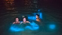 Night Tour-Luminating Blue Lagoon Waters