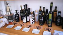From Lisbon: Olive Oil, Salt Flats and Winery Private Day Tour