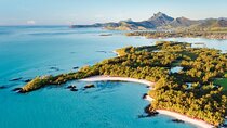Mauritius Dolphin & Whale Experience: Marine Wildlife Adventure