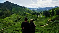 Cameron Highlands Adventure with Hobbitoon Village Experience