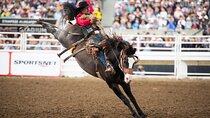 Calgary Stampede Two Day Thrill Package