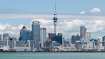Four Hour Private Auckland Sightseeing Tour