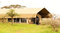 8 Days Kenya and Tanzania Driving Safari Holiday